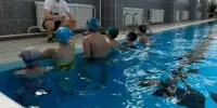 Соревнования по плаванию "Веселый дельфин"