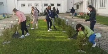 Традиционно весна - время наведения порядка...