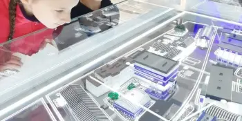 Лагерь "Мудрые совята". Июль - 2023. День семнадцатый