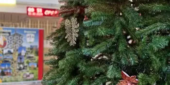 #елка_в_моей_школе