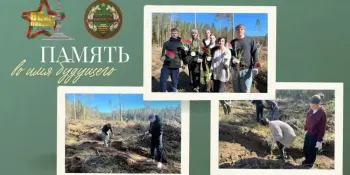 Посадка леса учащимися нашей школы
