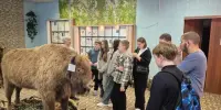 Учащиеся 8В класса посетили музей природы ГУДО "Борисовский центр экологии и туризма"