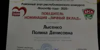 Волонтёр года — личный вклад
