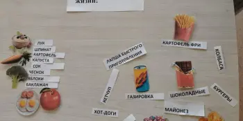 В рамках программы “Лето возможностей” с ребятами проведена игра-викторина “Мы за здоровый образ жизни”